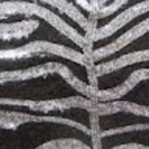 Meet your Posher, Kellye